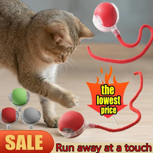 Electronic Self Training Interactive Cat Ball