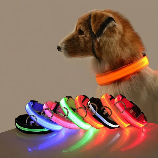 Glow In The Dark Dog Leash